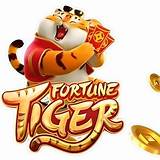 678vip fortune tiger bet