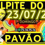 palpite do dia gates of olympus 1000