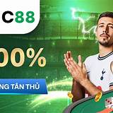 vic88 poker tournament